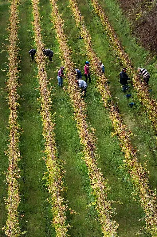 Alloggio per agriturismo Wine Resort Villagrande Milo Italia