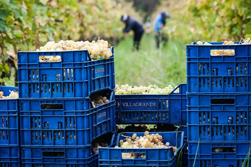 Alloggio per agriturismo Wine Resort Villagrande Milo