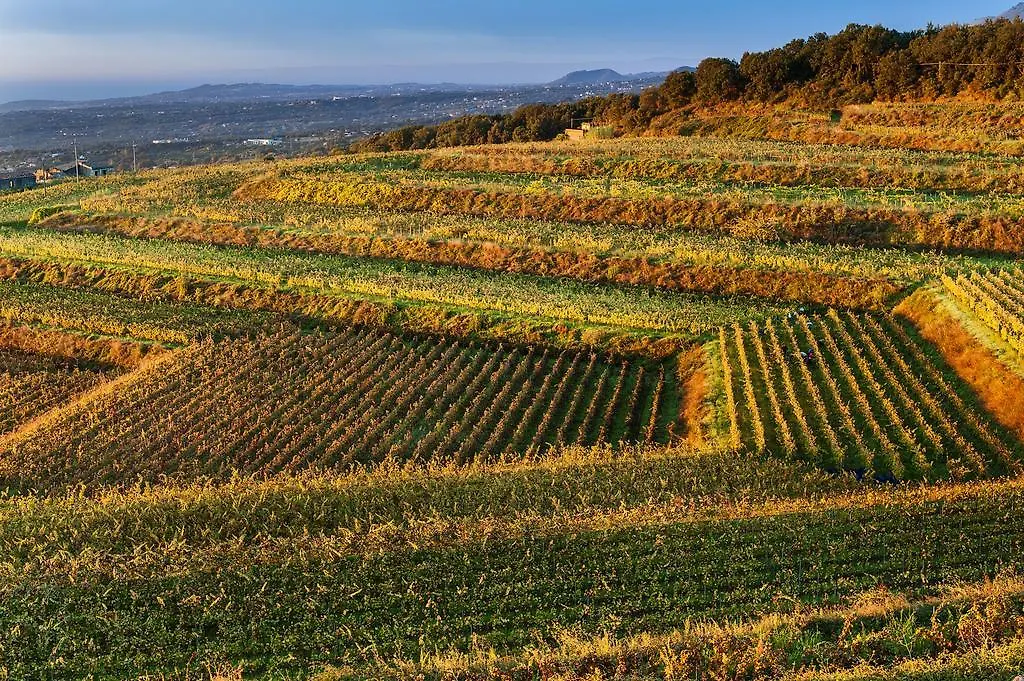 Wine Resort Villagrande Milo 0*,  Italy