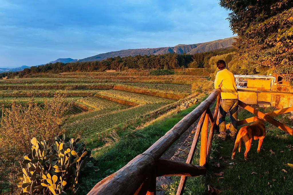 Wine Resort Villagrande Milo Farm stay